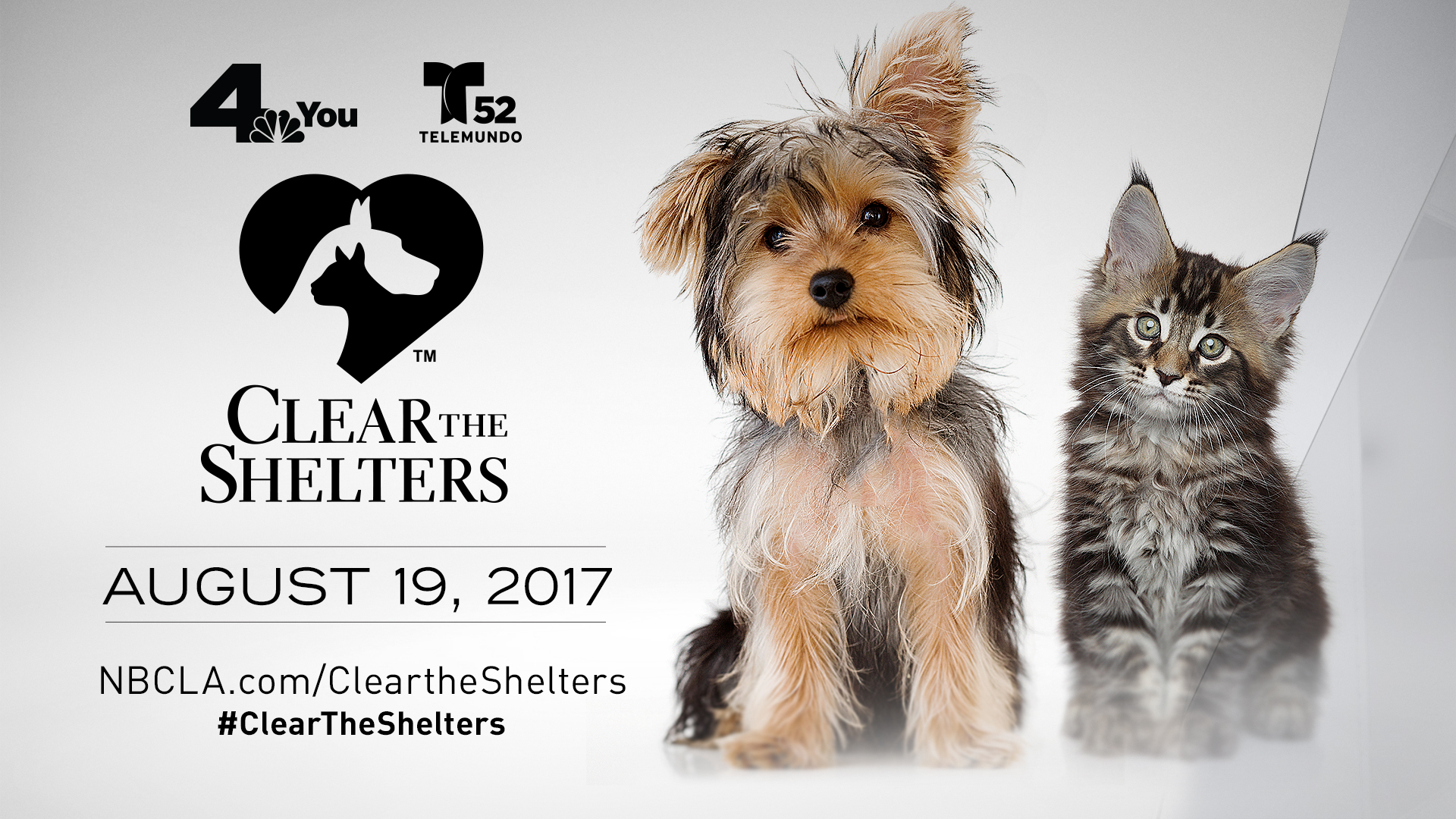 Clear The Shelters Promotion Flyer