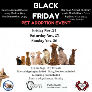 Black Friday Event Flyer