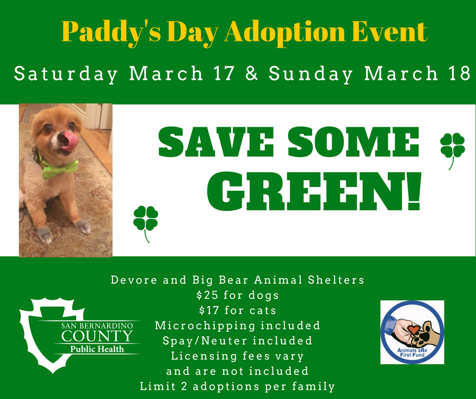 Paddy’s Day Pet Adoption Event Department of Public Health