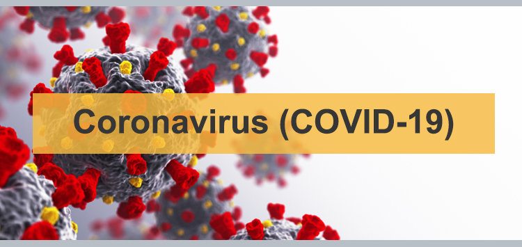 Coronavirus (COVID-19) virus molecule image